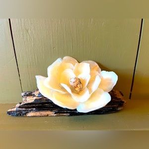 Mississippi Coast decor or Gift